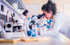 phd-research